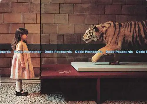 D290963 Tiger mit Mädchen. HSBC