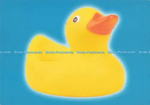 D290968 Ente. Postkarte