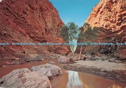 D290979 Zentralaustralien. Simpson Gap. Alice Springs. John Engelander