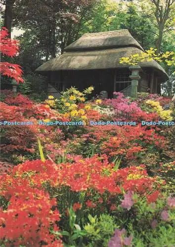 D289349 England. Dorset. Poole. Der japanische Garten. Das Gartenhaus. Compton A