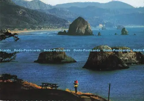 D289356 Rucksack für einen stimmungsvollen Tag an der Küste von Oregon. Anderson Scenic Postkarten.