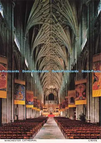 D291066 Winchester Cathedral. Richter. C. 7017. X