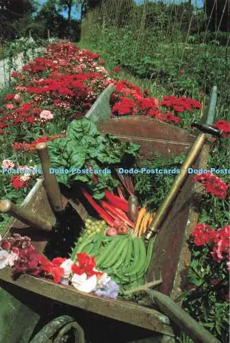 D291076 Sommerprodukt. Ein Spaziergang durch den Gemüsegarten. The Lost Gardens o