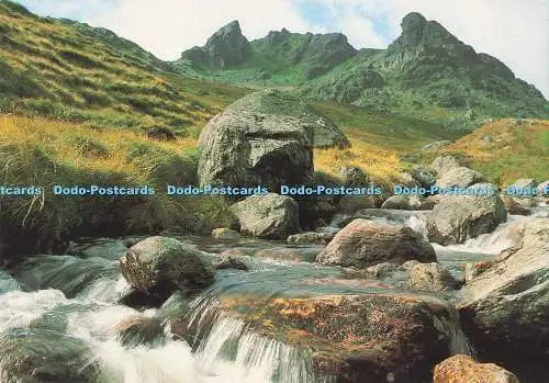 D289380 Arrochar. Der Schuster. Whiteholme. Dundee