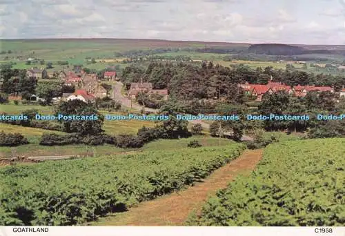 D291113 Goathland. Richter. C. 1958