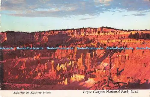 D289407 Utah. Sonnenaufgang am Sunrise Point. Bryce Canyon Nationalpark. George Mc. P