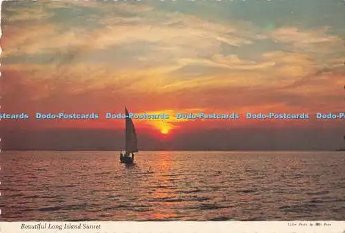 D289409 Schöner Long Island Sonnenuntergang. Tomlin Art. Milt Preis