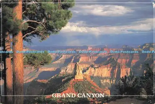 D289414 Grand Canyon. Schöne Spitze Imperial. Dick Dietrich