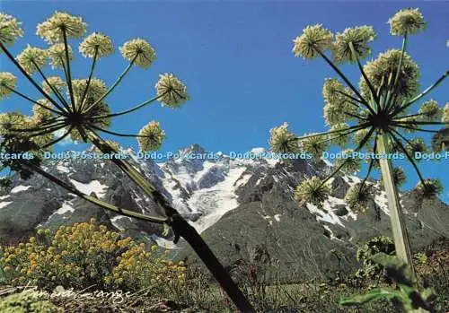 D291139 Vie en Montagne. Expo. Bernard Grange