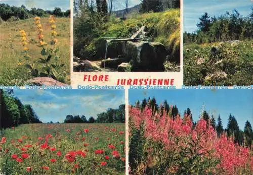 D291140 Flore Jurassienne. Les Editions De L Est. E. Protet. Wie De Coeur. 1974.