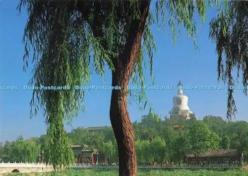 D291147 Die Dagoba im Beihai Park. China National Publications Import und Export