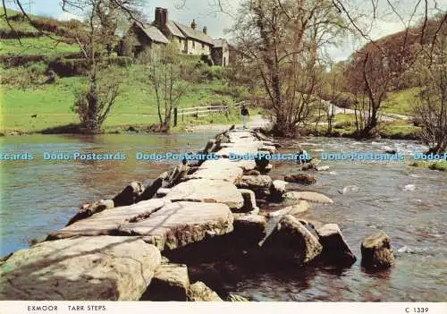 D289448 Exmoor. Tarrstufen. Richter. C. 1339