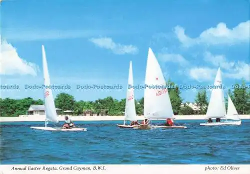 D291163 B.W.I. Grand Cayman. Jährliche Osterregata. Ed Oliver