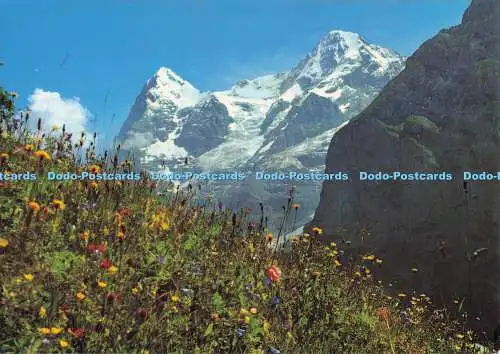 D291168 Bei Murren. Eiger und Munch. E. Gyger
