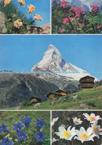 D291171 Schweiz. Edelweiß. Le Cervin. Pierre Jaeger. Iris. Multi View