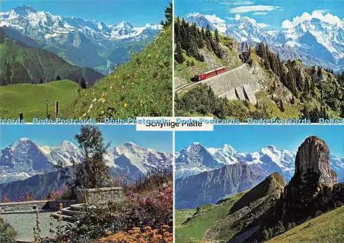 D291172 Schynige Platte. E. Gyger. Multi View
