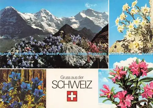 D291173 Gruss aus der Schweiz. Fotoglob. Zürich. Orell Fussli. Multi View