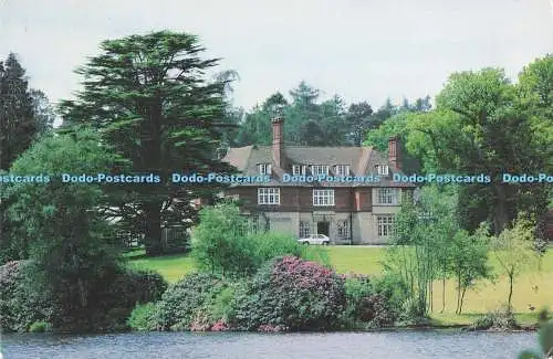 D289462 Liphook Hampshire. Wald mere. 1991