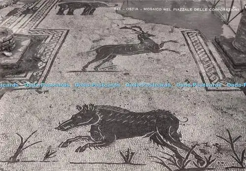 D291216 Ostia. Mosaico Nel Piazzale Delle Corporazioni. E. Richter. Roma. RP