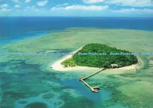 D291228 N.Q. Green Island am Great Barrier Reef. Peer Productions