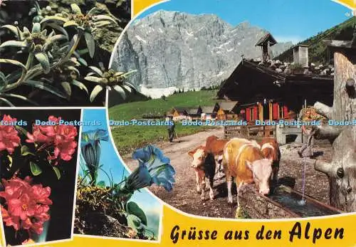 D289553 Grusse aus den Alpen. Risch Lau. Multi View