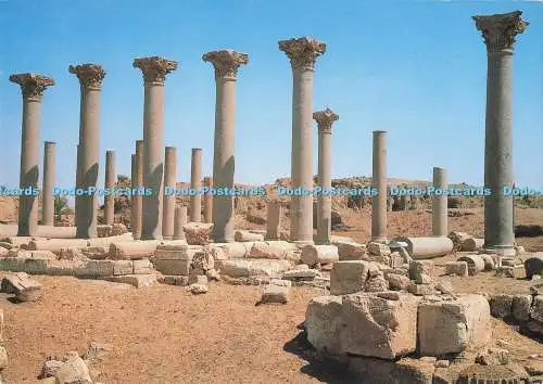 D291293 El Ashmunein. Basilika der antiken Hermopolis. Philipp von Zabern. Ro