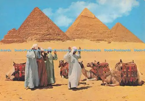 D293578 Gizeh. Gebet in der Nähe der Pyramiden. Lehnert und Landrock. K. Lambelet