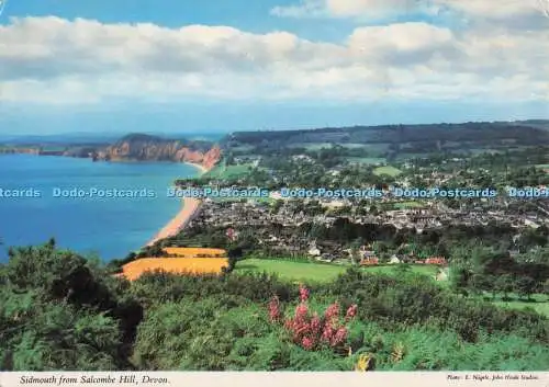 D296490 Devon. Sidmouth von Salcombe Hill. John Hinde. E. Nagele. 1980