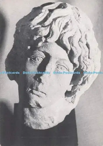 D293675 Auxerre. Musee Archeologique. Tete Trouvee a Gyl Eveque. R. G. Phelipea