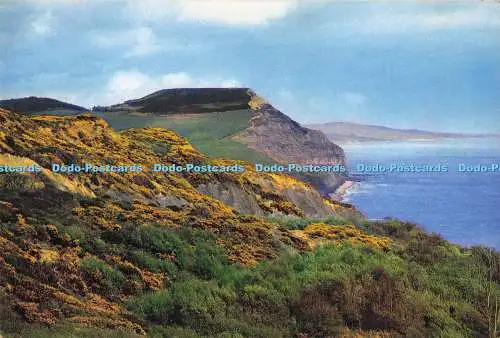 D289774 Goldene Kappe nahe Charmouth. J. Arthur Dixon. Newport. I.W. England