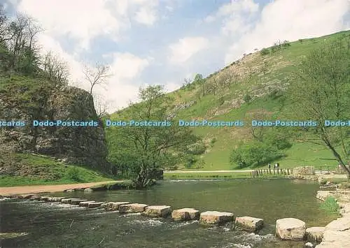 D291532 Dovedale. Derbyshire. Grenze zu Staffordshire. Larkfield Printing. Peter Ro