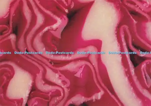 Farbe D296683 rot und weiß. Postkarte