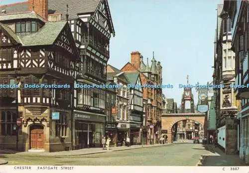 D293793 Chester. Eastgate Street. Richter. C. 3887. PM. Llangollen. Clwyd. 1976