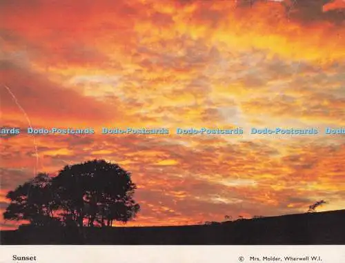 D293794 Sonnenuntergang. Mrs. Molder. Postkarte