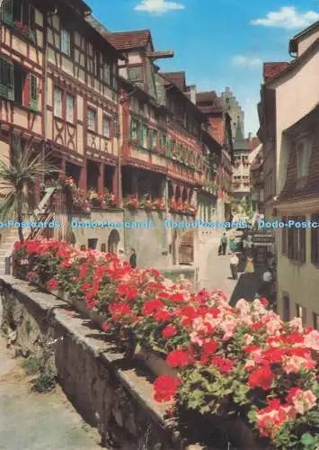 D291592 Die Weinfrohe Burgenstadt. Meersburg am Bodensee. Werner