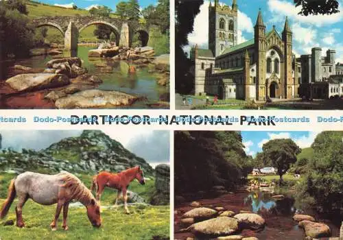 D289882 Dartmoor Nationalpark. John Hinde. London. E. Nagele. Multi View