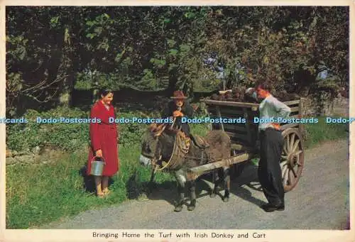 D289883 Mit irischem Esel und Wagen den Rasen nach Hause bringen. Cardall. Dublin