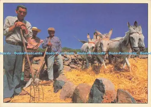 D289885 Islas Canarias. Art Edition. Reiner Loos