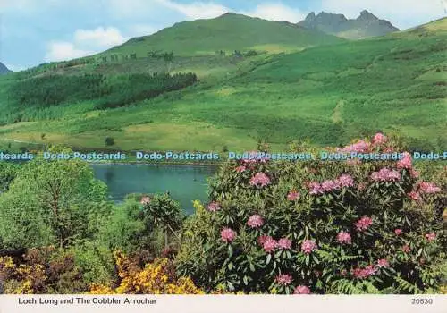 D296695 Loch Long und The Cobbler Arrochar. Whiteholme. Dundee. A Hail Caledonia