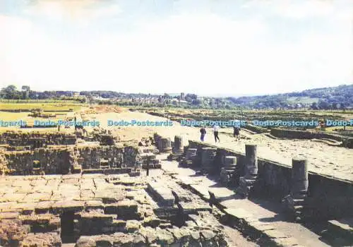 D291611 Northumberland. Corbridge. Corstopitum Roman Camp. J. Arthur Dixon