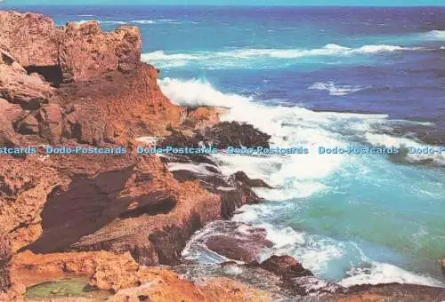 D291625 Australische Küste. National View. Murfett
