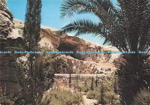 D289924 Jerusalem. Golgatha im Gartengrab. I. Amad