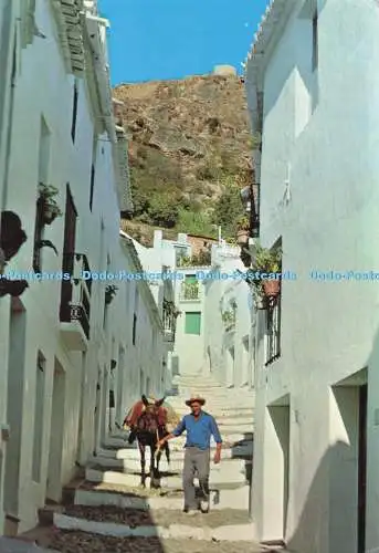 D289959 Frigiliana. Malaga. El Zacatin Street. Som. Cerezo
