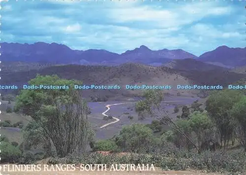 D291691 South Australia. Flinders-Bereiche. Schlossgrüße. South Australian Pos