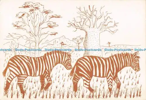 D293896 Zebras im Chobe Nationalpark. Botswana. P.K. Mbenge