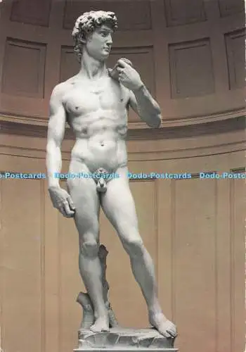 D289979 Firenze. Galleria dell Accademia. Der David. Michel Ange. Bonechi. O.V.