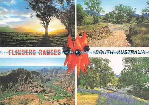 D291693 South Australia. Flinders-Bereiche. Bachüberquerung. Ein Auge Ci in See. Pres