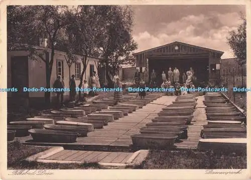 D289982 Felkebad Diez. Damenpark. Ph. H. Meckel