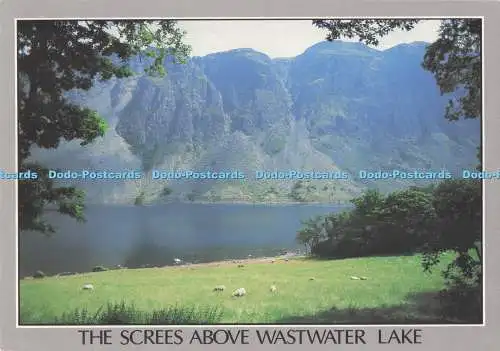 D291700 Das Geröll über dem Abwassersee. J. Arthur Dixon. Alan Beaver