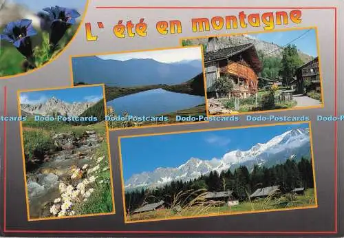 D296796 Lete en Montagne. Revalp. J. P. Fecci. Multi View